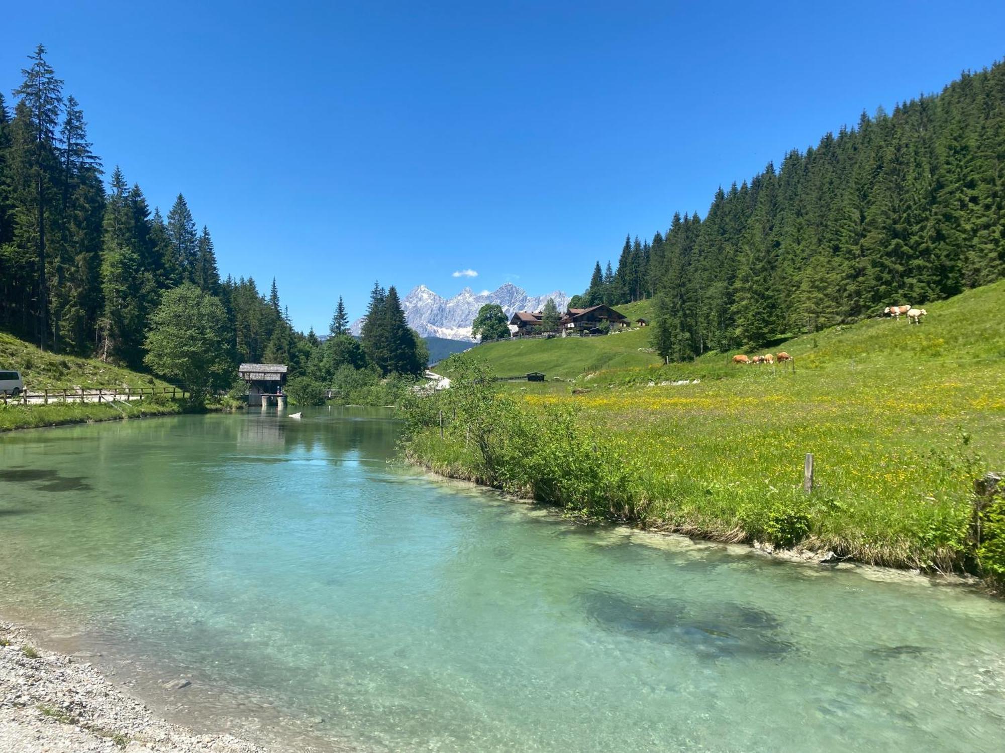 Appartements By Chalet Reiteralm -Sommercard Schladming Buitenkant foto