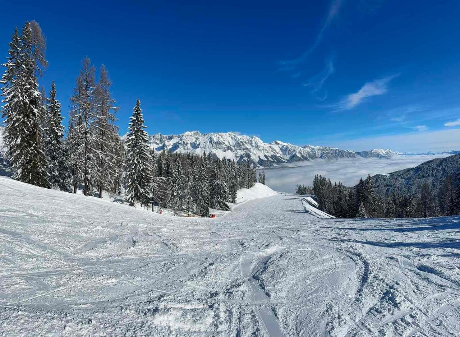 Appartements By Chalet Reiteralm -Sommercard Schladming Buitenkant foto