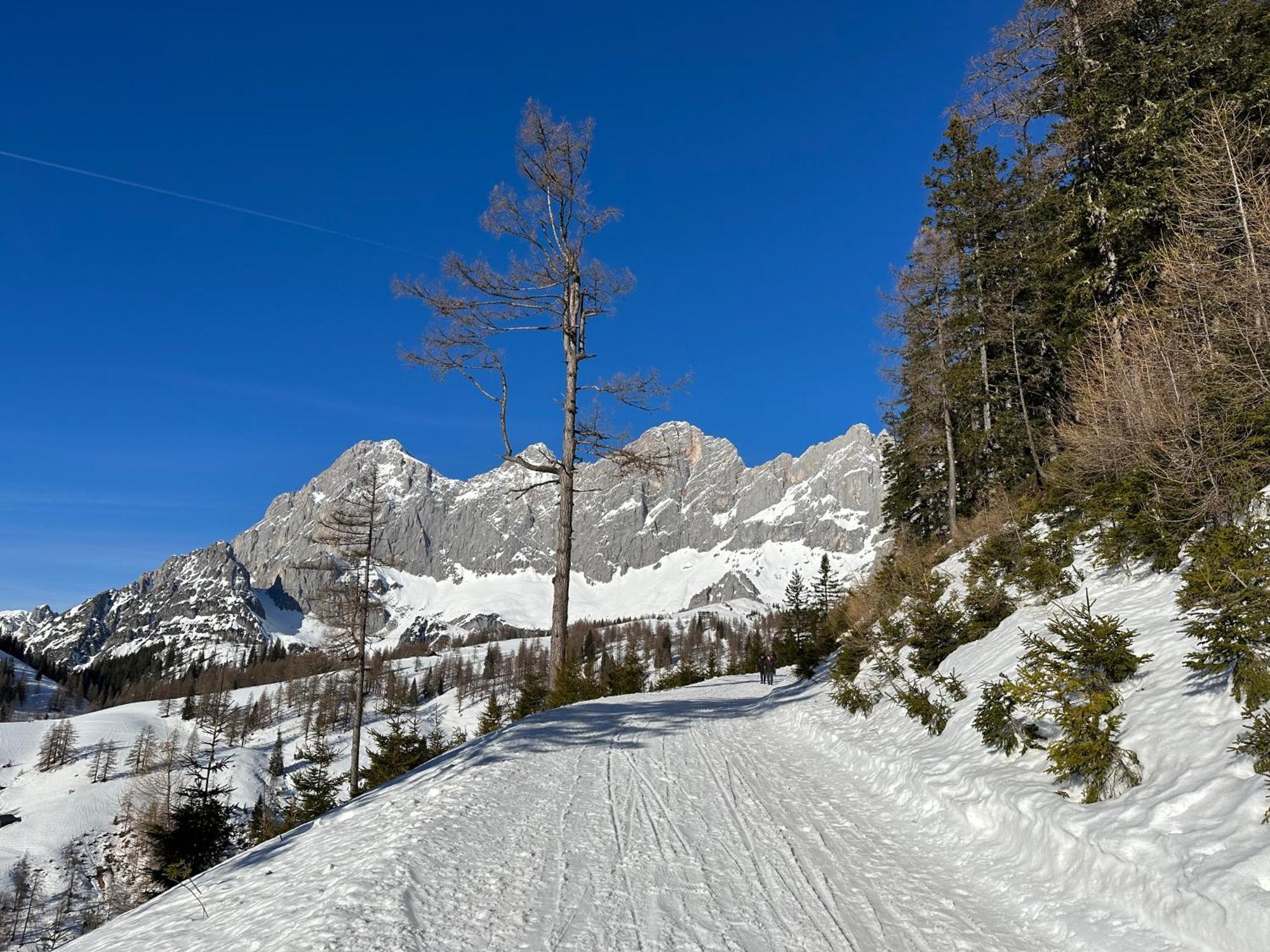 Appartements By Chalet Reiteralm -Sommercard Schladming Buitenkant foto